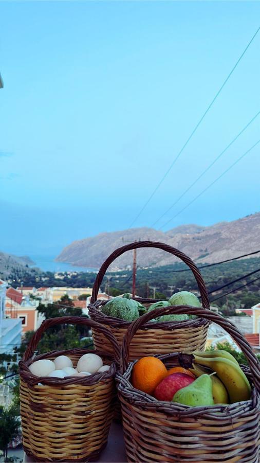 Casa Chara Apartment Symi Bagian luar foto